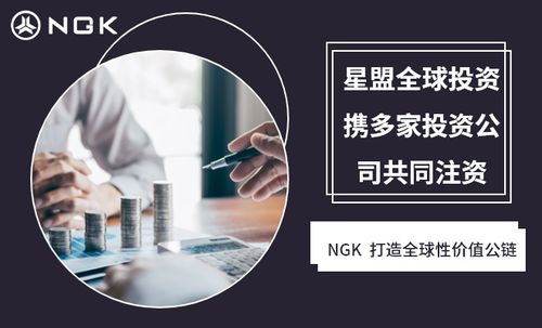 NGK公鏈技術 重塑房地產生態，賦能經濟信息咨詢